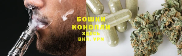 молекула духа Волоколамск